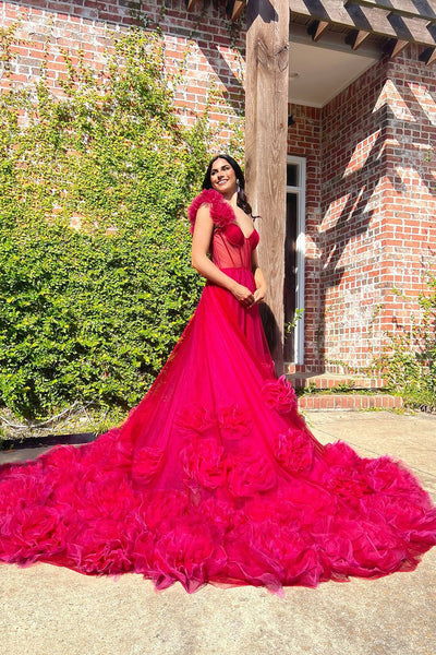 Cute Ball Gown Sweetheart Red Tulle Prom Dresses AB24102814